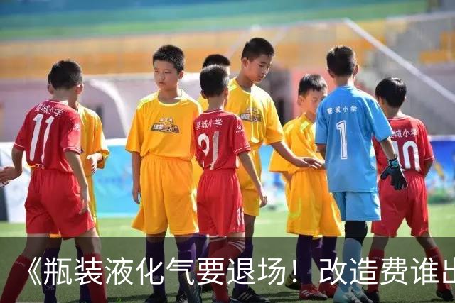 《瓶装液化气要退场！改造费谁出、气价贵不贵？3大痛点说清了》