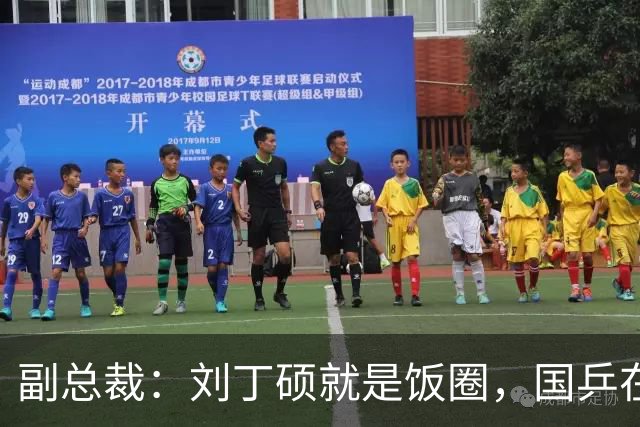 副总裁：刘丁硕就是饭圈，国乒在拆饭圈，他在给饭圈续命