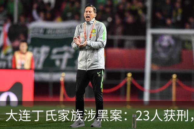大连丁氏家族涉黑案：23人获刑，涉案资产2.05亿元（2019）