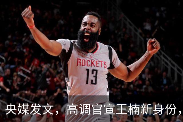 央媒发文，高调官宣王楠新身份，资产查封被带走调查传闻早有真相