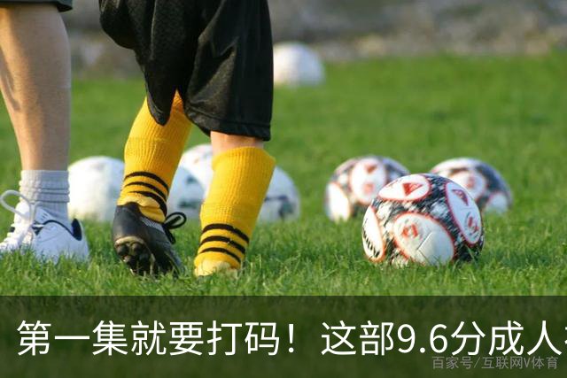 第一集就要打码！这部9.6分成人神作，后劲太大了