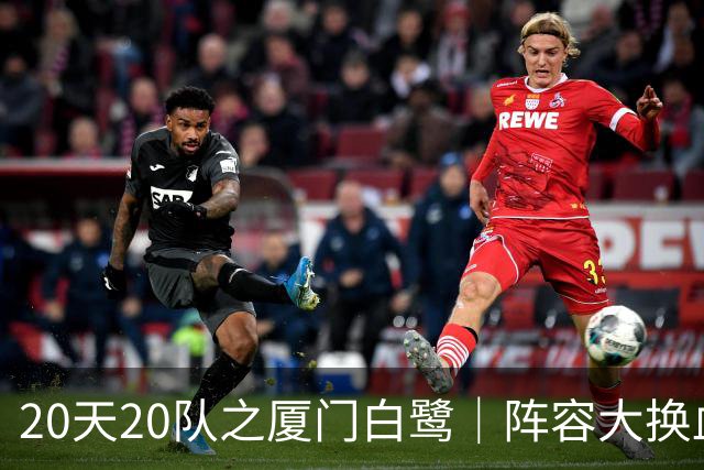 20天20队之厦门白鹭｜阵容大换血！全新00后青年军出征新赛季